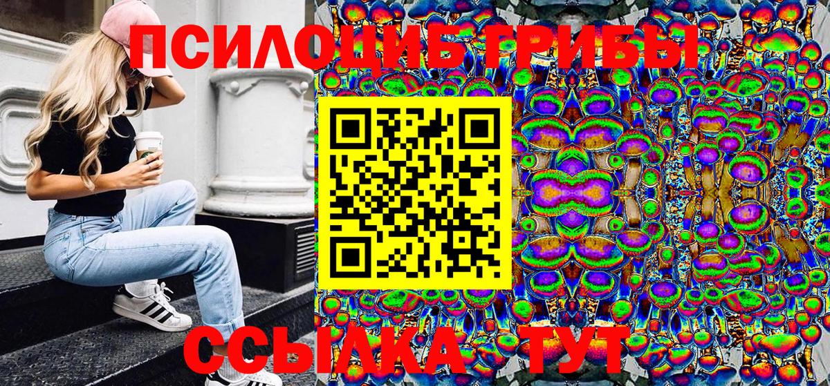 Псилоцибиновые грибы мицелий Уварово
